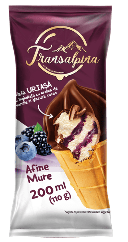 Transalpina Cone with Blueberries and Blackberries